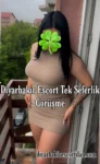 Diyarbakır Escort İlçede