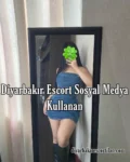 Diyarbakır Escort Sosyal Medya Kullanan