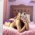 Diyarbakır Anal Oral Ucuz Escort